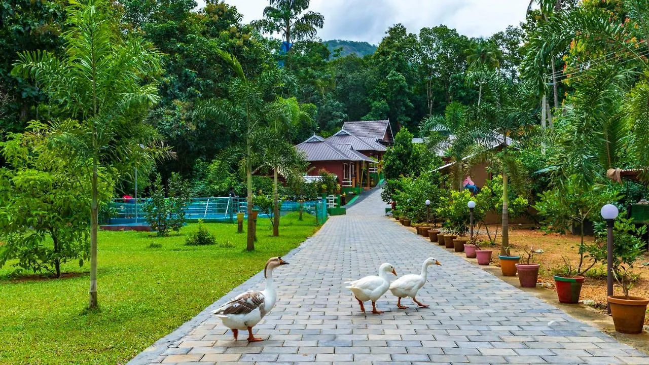 Курортный комплекс Budgies Cottage Thattakad