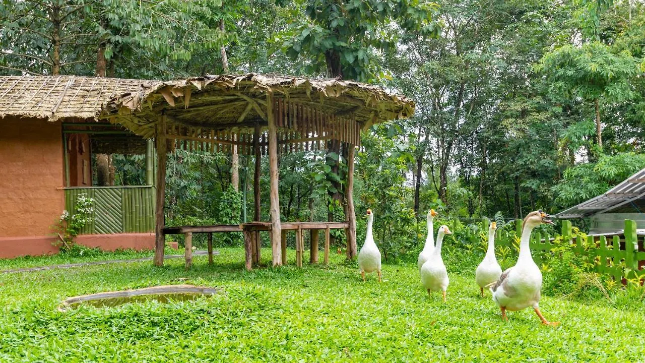 Budgies Cottage Thattakad Индия