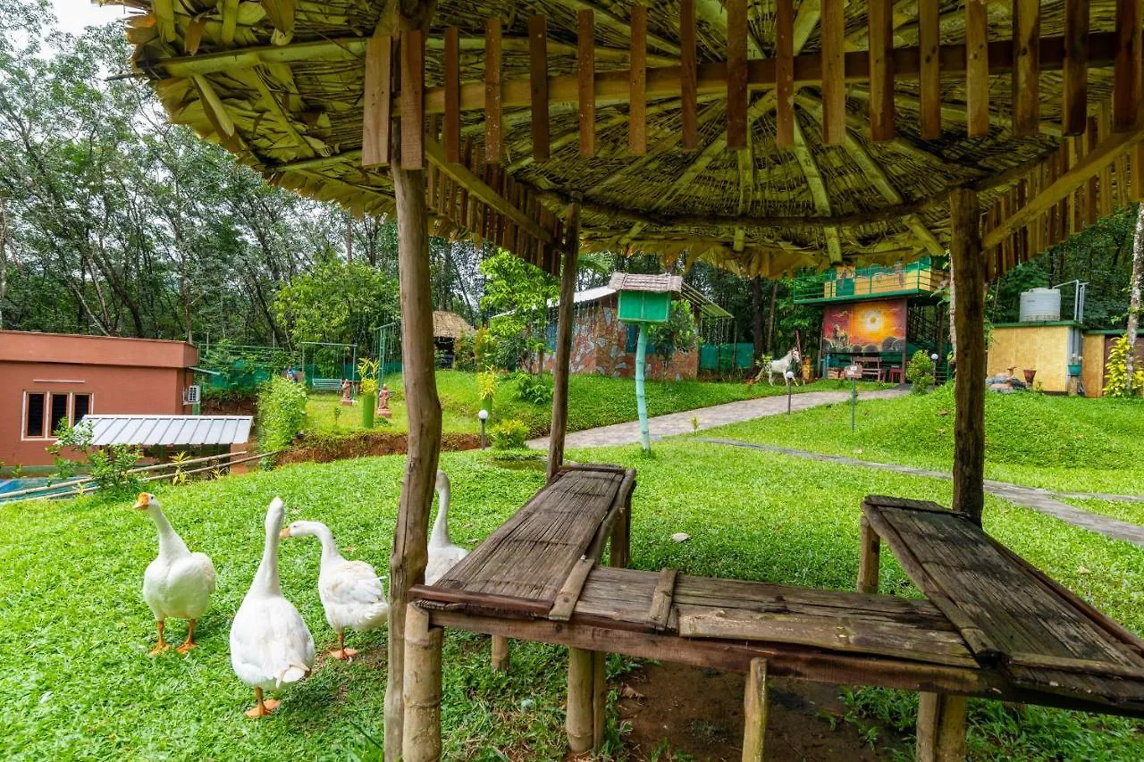 Budgies Cottage Thattakad